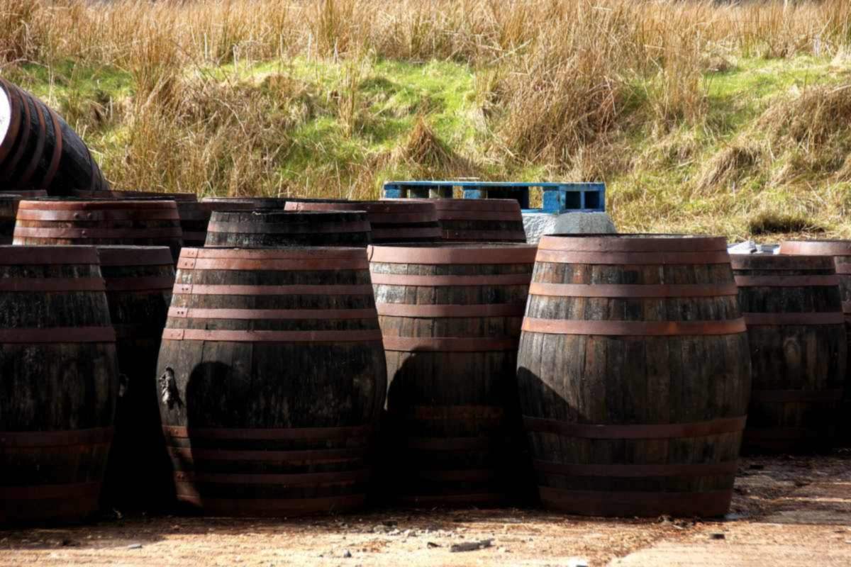 Oak casks in a warehouse, where genuine whisky matures before bottling